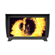 best monitor for color grading in india