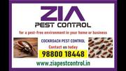 Cockroach service price List rs. 1200 | 5085