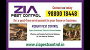 Rodent Treatment | Rodent Control | 30% Off on Paying Guest | 5084