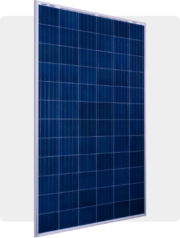 P SERIES: High-Performance Polycrystalline Solar Modules