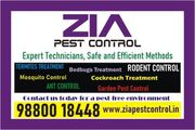 Zia Pest control | Gardan pest Service | Pg appartments flats | 6068